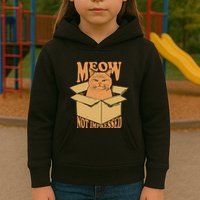 Meow Not Impressed Sarcastic Cat Meme Grumpy Feline In Box .Png Kids Hoodie