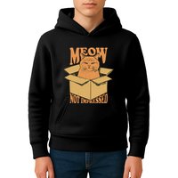 Meow Not Impressed Sarcastic Cat Meme Grumpy Feline In Box .Png Kids Hoodie