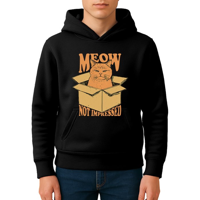 Meow Not Impressed Sarcastic Cat Meme Grumpy Feline In Box .Png Kids Hoodie