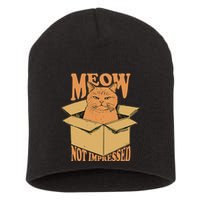 Meow Not Impressed Sarcastic Cat Meme Grumpy Feline In Box .Png Short Acrylic Beanie