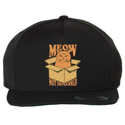 Meow Not Impressed Sarcastic Cat Meme Grumpy Feline In Box .Png Wool Snapback Cap