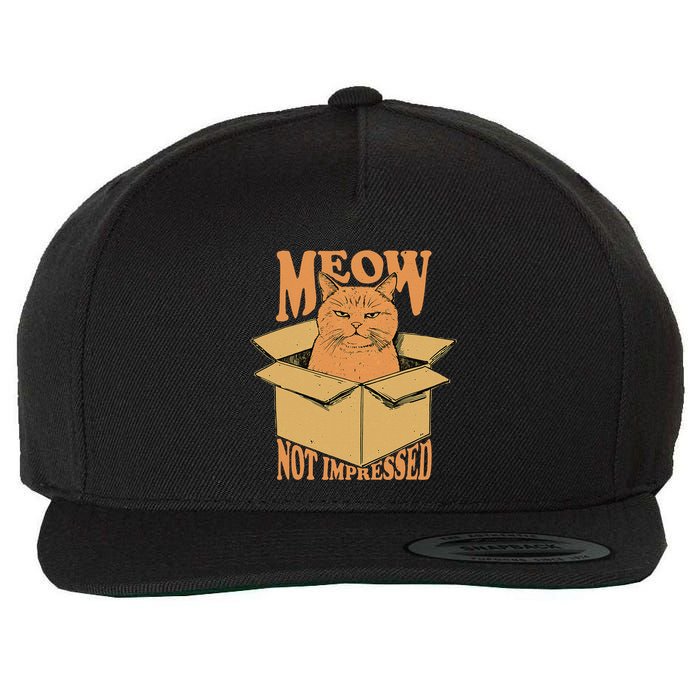 Meow Not Impressed Sarcastic Cat Meme Grumpy Feline In Box .Png Wool Snapback Cap
