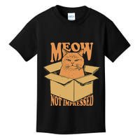 Meow Not Impressed Sarcastic Cat Meme Grumpy Feline In Box .Png Kids T-Shirt
