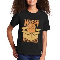 Meow Not Impressed Sarcastic Cat Meme Grumpy Feline In Box .Png Kids T-Shirt