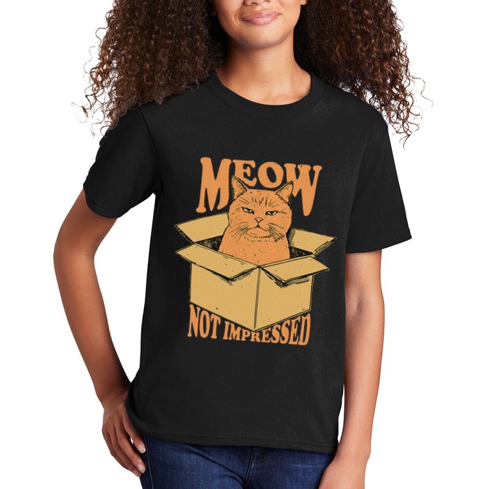 Meow Not Impressed Sarcastic Cat Meme Grumpy Feline In Box .Png Kids T-Shirt