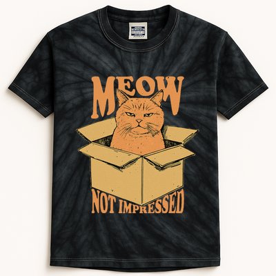Meow Not Impressed Sarcastic Cat Meme Grumpy Feline In Box .Png Kids Tie-Dye T-Shirt