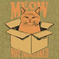 Meow Not Impressed Sarcastic Cat Meme Grumpy Feline In Box .Png Garment-Dyed Women's Muscle Tee