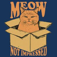 Meow Not Impressed Sarcastic Cat Meme Grumpy Feline In Box .Png Infant Baby Jersey Bodysuit