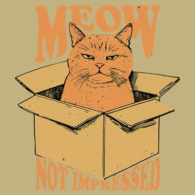 Meow Not Impressed Sarcastic Cat Meme Grumpy Feline In Box .Png T-Shirt