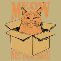 Meow Not Impressed Sarcastic Cat Meme Grumpy Feline In Box .Png T-Shirt
