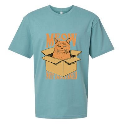 Meow Not Impressed Sarcastic Cat Meme Grumpy Feline In Box .Png Sueded Cloud Jersey T-Shirt