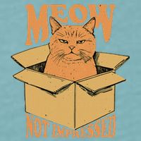 Meow Not Impressed Sarcastic Cat Meme Grumpy Feline In Box .Png Sueded Cloud Jersey T-Shirt