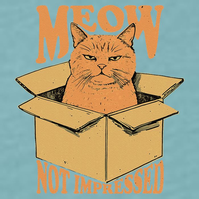 Meow Not Impressed Sarcastic Cat Meme Grumpy Feline In Box .Png Sueded Cloud Jersey T-Shirt