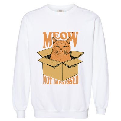 Meow Not Impressed Sarcastic Cat Meme Grumpy Feline In Box .Png Garment-Dyed Sweatshirt