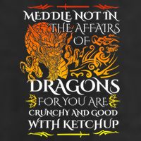 Meddle Not In The Affairs Of Dragons 7 Panel Mesh Trucker Snapback Hat