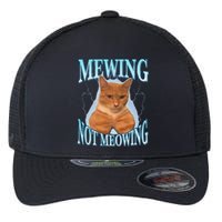 Mewing Not Meowing Funny Meme Flexfit Unipanel Trucker Cap