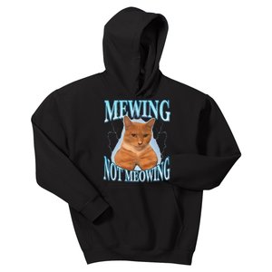 Mewing Not Meowing Funny Meme Kids Hoodie