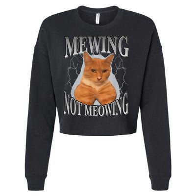 Mewing Not Meowing Cropped Pullover Crew