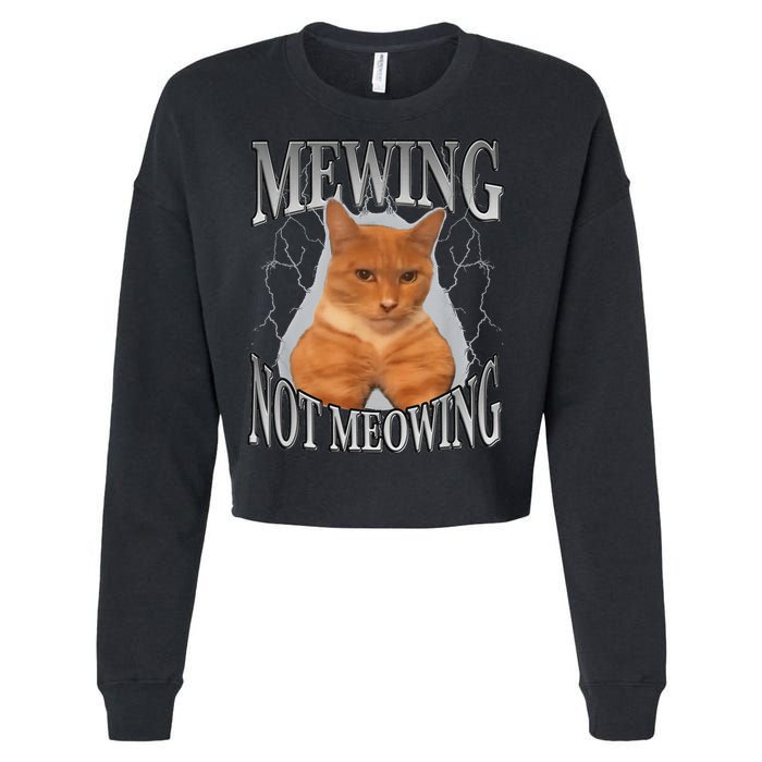 Mewing Not Meowing Cropped Pullover Crew