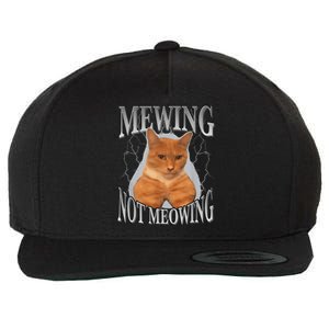 Mewing Not Meowing Wool Snapback Cap