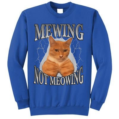 Mewing Not Meowing Sweatshirt