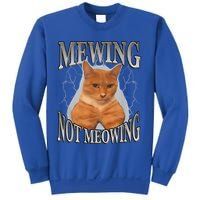 Mewing Not Meowing Sweatshirt
