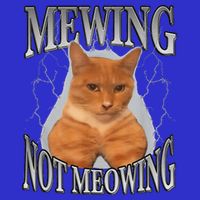 Mewing Not Meowing T-Shirt