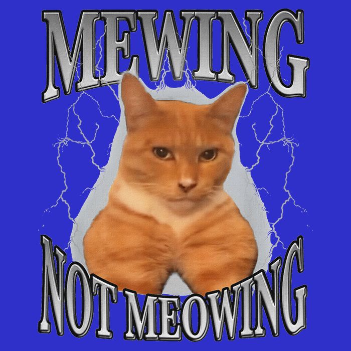 Mewing Not Meowing T-Shirt