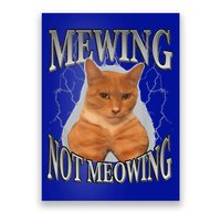 Mewing Not Meowing Poster