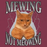 Mewing Not Meowing 16oz Travel Tumbler