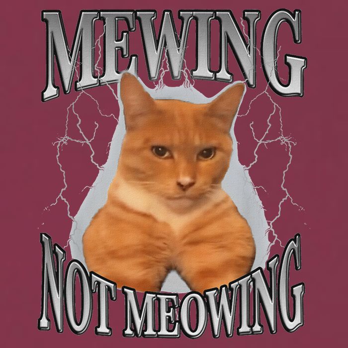 Mewing Not Meowing 16oz Travel Tumbler