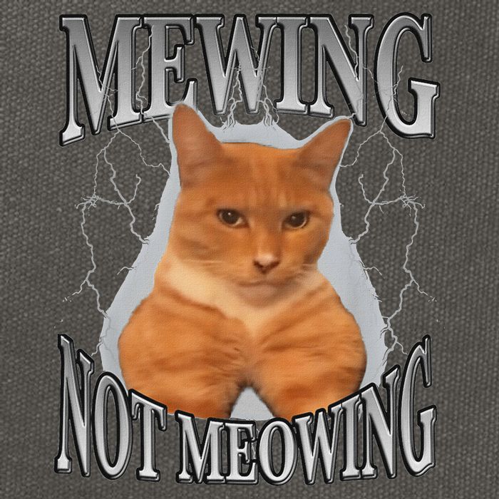Mewing Not Meowing Cotton Canvas Backpack