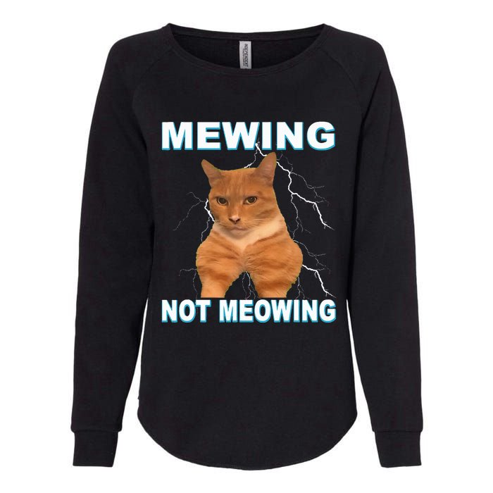 Mewing Not Meowing Funny Cat Meme Feline Womens California Wash Sweatshirt