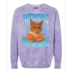 Mewing Not Meowing Funny Cat Meme Colorblast Crewneck Sweatshirt