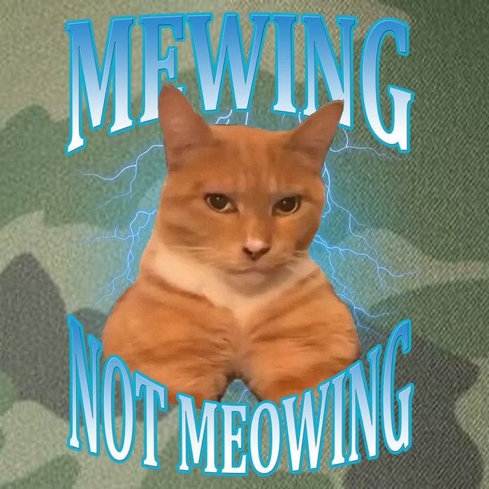 Mewing Not Meowing Funny Cat Meme Legacy Tie Dye Trucker Hat