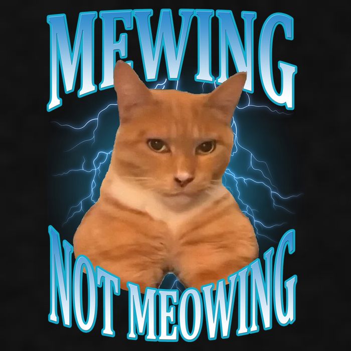 Mewing Not Meowing Funny Cat Meme Ladies PosiCharge Tri-Blend Wicking Tank