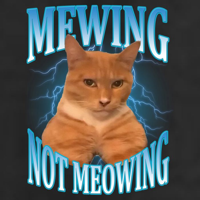 Mewing Not Meowing Funny Cat Meme Cool Comfort Performance Bucket Hat