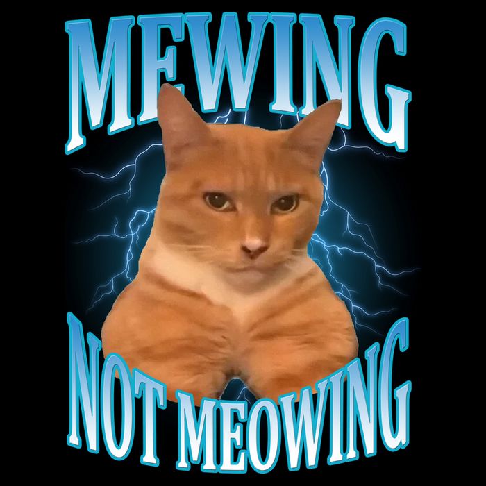 Mewing Not Meowing Funny Cat Meme Cooling Performance Crew T-Shirt