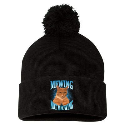 Mewing Not Meowing Funny Cat Meme Pom Pom 12in Knit Beanie