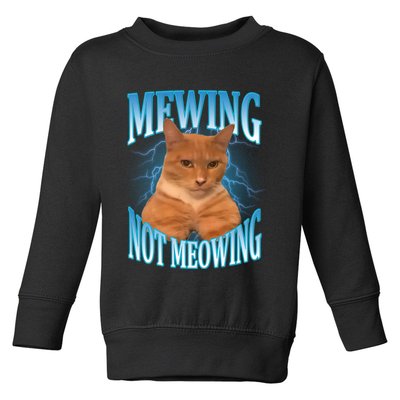 Mewing Not Meowing Funny Cat Meme Toddler Sweatshirt