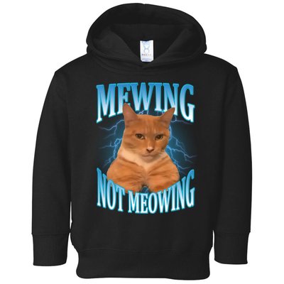 Mewing Not Meowing Funny Cat Meme Toddler Hoodie