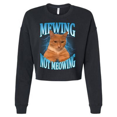 Mewing Not Meowing Funny Cat Meme Cropped Pullover Crew