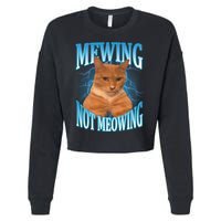 Mewing Not Meowing Funny Cat Meme Cropped Pullover Crew