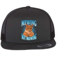 Mewing Not Meowing Funny Cat Meme Flatbill Hat