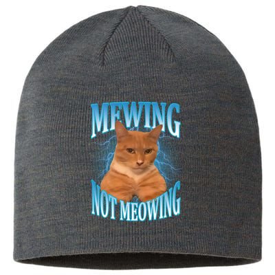 Mewing Not Meowing Funny Cat Meme Sustainable Beanie