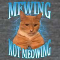 Mewing Not Meowing Funny Cat Meme Premium T-Shirt