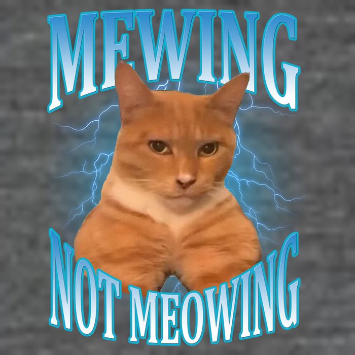 Mewing Not Meowing Funny Cat Meme Premium T-Shirt