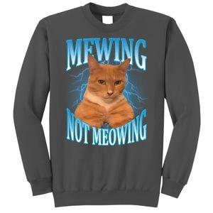 Mewing Not Meowing Funny Cat Meme Tall Sweatshirt