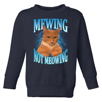 Mewing Not Meowing Funny Cat Meme Toddler Sweatshirt