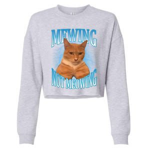 Mewing Not Meowing Funny Cat Meme Cropped Pullover Crew